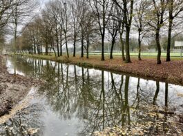 Nieuwe natuur langs sportpark op Sloterdijk