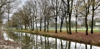 Nieuwe natuur langs sportpark op Sloterdijk