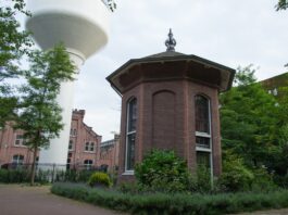 Door dit filmpje ga je nog meer van West houden