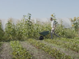Crowdfunding voor aankoop Lutkemeerpolder als ‘voedselpark’