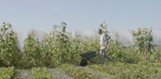 Crowdfunding voor aankoop Lutkemeerpolder als ‘voedselpark’