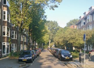 Inspraak vergroening Corantijnstraat