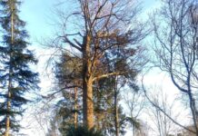 Volkstuinparken van Westerpark weer open