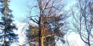 Volkstuinparken van Westerpark weer open