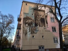 Bos en Lommer krijgt meer (regenboog)kleuren op de muren