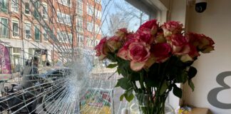 Nou, dan maar een rolluik