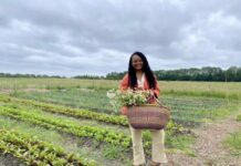 Zelf groenten oogsten in de Tuinen van West