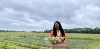 Zelf groenten oogsten in de Tuinen van West