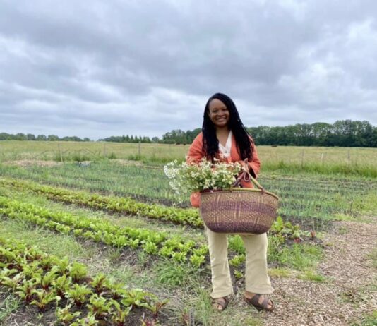 Zelf groenten oogsten in de Tuinen van West