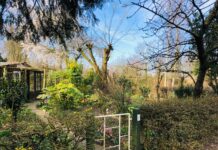 Tuinpark Zonnehoek in Westerpark blijft nog zeker 10 jaar