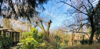 Tuinpark Zonnehoek in Westerpark blijft nog zeker 10 jaar