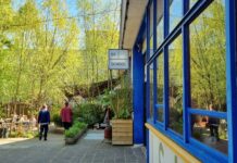 Nieuwe nachtvergunning voor club in gebouw De School