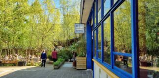 Nieuwe nachtvergunning voor club in gebouw De School