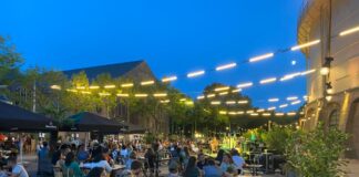 Koningsfeest in West: 18 tips