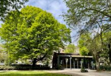 Ikaria met Grieks eten naar Bilderdijkpark