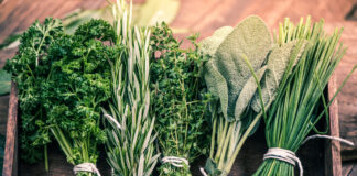 Via ‘Buurtkruid’ delen BoLo-bewoners verhalen over kruiden