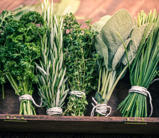 Via ‘Buurtkruid’ delen BoLo-bewoners verhalen over kruiden