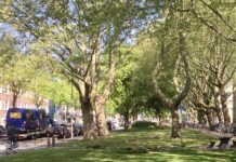 Keihard remmen op de Willem de Zwijgerlaan