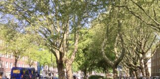 Keihard remmen op de Willem de Zwijgerlaan