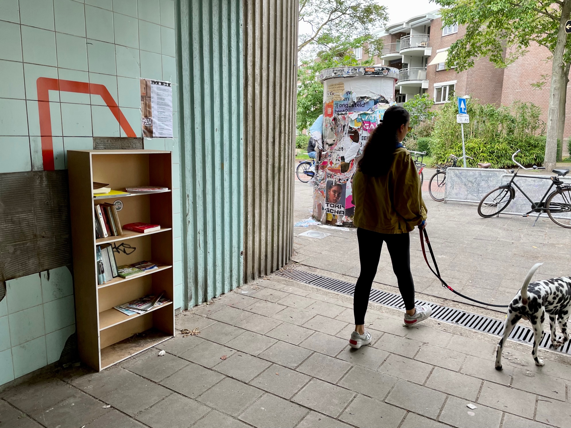 dodelijk Kikker Verlaten En alweer is de boekenkast terug in de tunnel - Buurtleven - De Westkrant