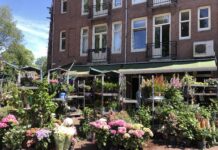 Zó pimp je je tuin of balkon in West