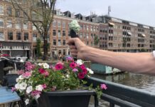 Het wonderlijke ijsje van Otemba in de Kinkerstraat