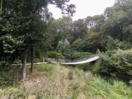 Rembrandtpark, vogelparadijs om de hoek