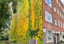 Toverbos aan de Rijpgracht