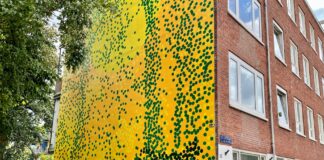 Toverbos aan de Rijpgracht