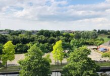 Ruim baan voor gratis optreden Concertgebouworkest in het Westerpark