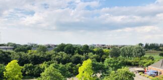 Ruim baan voor gratis optreden Concertgebouworkest in het Westerpark