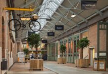 Culturele Zondag voor senioren in De Hallen