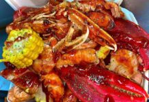 Queen D brengt krab en kreeft naar de Jan Eef