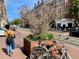 Wie redt de boompjes in de Kinkerstraat? Gemeente komt alsnog in actie