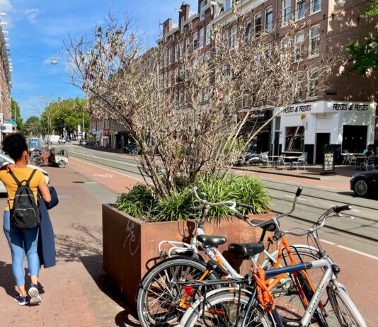 Wie redt de boompjes in de Kinkerstraat? Gemeente komt alsnog in actie