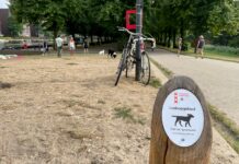 ‘Geef Erasmuspark terug aan de honden’, bepleiten baasjes in petitie