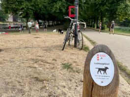 ‘Geef Erasmuspark terug aan de honden’, bepleiten baasjes in petitie