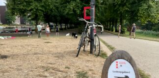 ‘Geef Erasmuspark terug aan de honden’, bepleiten baasjes in petitie