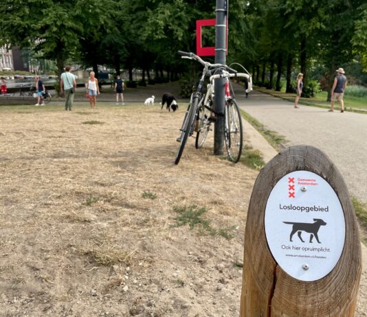 ‘Geef Erasmuspark terug aan de honden’, bepleiten baasjes in petitie
