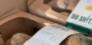 Oud-West heeft afhaalpunt voor ‘vegan groenten’