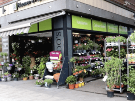 Fleur je balkon of tuin op bij Ricardo’s op het BoLo-plein