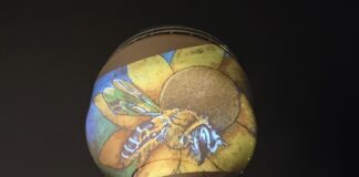 Watertoren schittert weer als schilderij