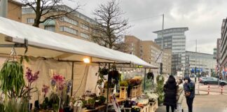 Bos en Lommermarkt gaat stoppen