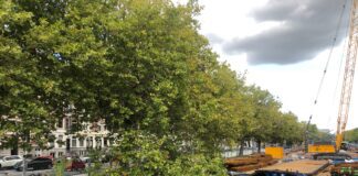 Stadsdeel akkoord met nieuw ontwerp wandelboulevard Nassaukade