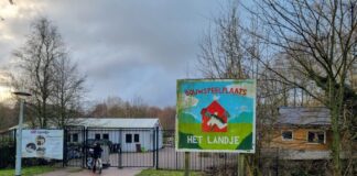 Rembrandtpark krijgt schonere sloten