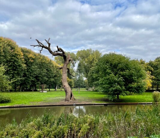 Barbecueën, hond uitlaten, zwemmen. Zo moet het Erasmuspark ‘toekomstbestendig’ worden