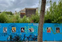 ‘Al het groen mocht weg, op één boom na’