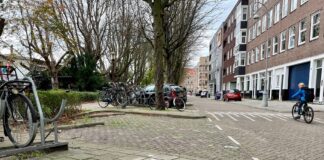 Stadsdeel kapt 81 oudere bomen