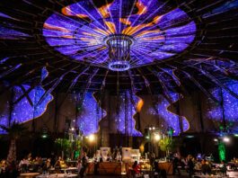 Spectaculair en duurzaam dineren bij The Greanery op Westergas