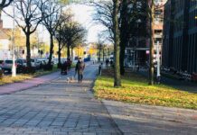 ‘Hond durft niet meer naar buiten vanwege vuurwerk’